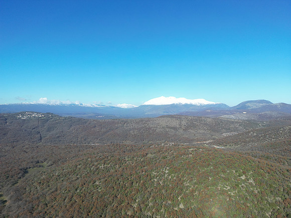 DJI_0029