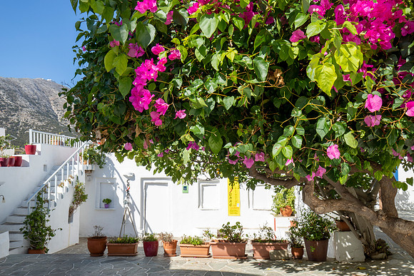 @gstathis_Sifnos_Cyclades_Greece2